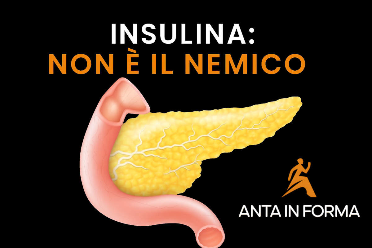 insulina